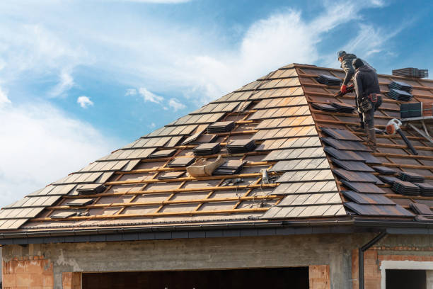 Best Asphalt Shingle Roofing  in Marion, KY